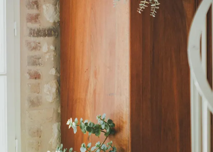 La Luciole Longere 65 M2 Climatisee & Lumineuse Tatil Evi